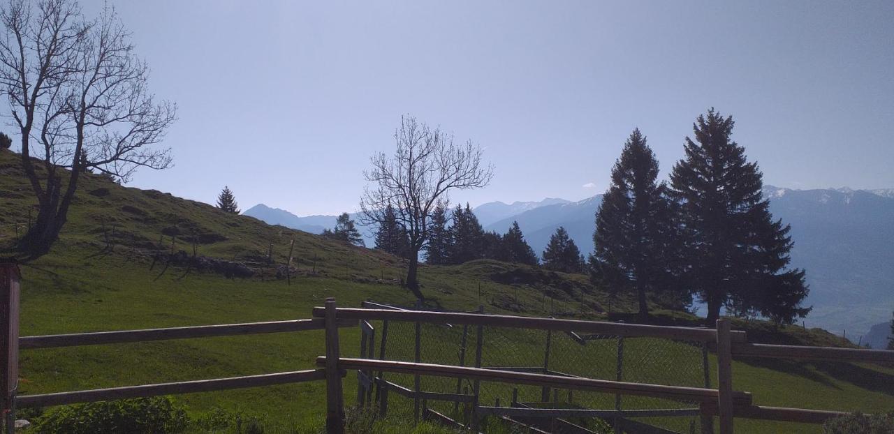 Ferienwohnungen Hochzillertal Kaltenbach Exterior photo